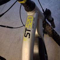 mountanbike elettrica