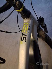 mountanbike elettrica