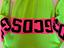 Immagine 5