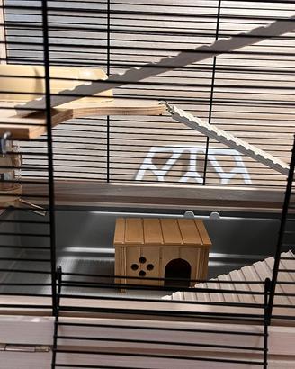 Gabbia per roditori e accessori