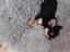 Immagine 5