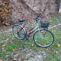 bicicletta per donna city urban