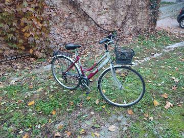 bicicletta per donna city urban