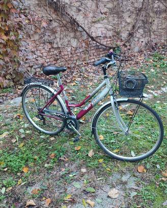 bicicletta per donna city urban
