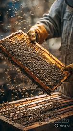 Nuclei api ligustica 2026 su 5 telaini