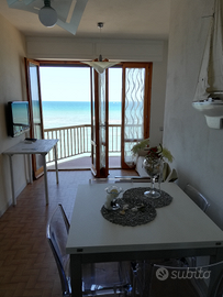 Bilocale sul mare San Vincenzo