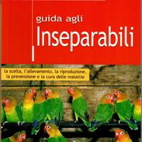 Guida agli inseparabili