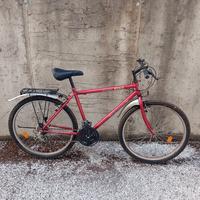 Bici MTB 26" - Super Bike - Country