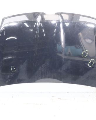 COFANO ANTERIORE FIAT Panda 3° Serie 51841736 169