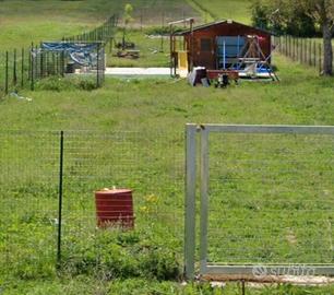 Terreno artigianale in espansione