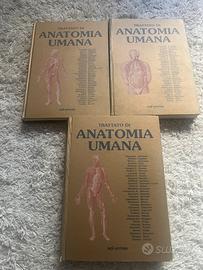 Anastasi Anatomia