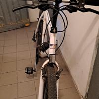 Bici Mountain bike MTB "vintage"