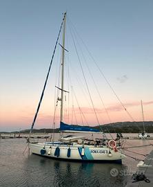 Barca a vela Cat 38