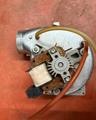 Ventilatore domina f24 ferroli