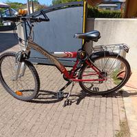 mountain bike ruota 26