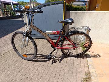 mountain bike ruota 26