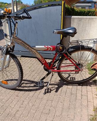 mountain bike ruota 26
