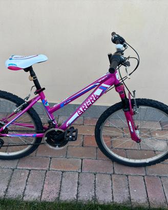 MTB 24