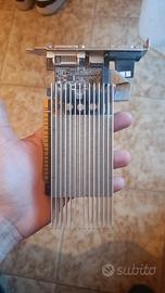 Scheda Video NVIDIA GeForce GT 520 1GB DDR3 Low Pr