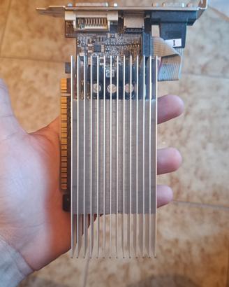 Scheda Video NVIDIA GeForce GT 520 1GB DDR3 Low Pr