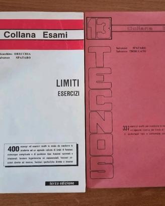 IL LIMITE /I LIMITI ESERCIZI Spataro Tribulato tec