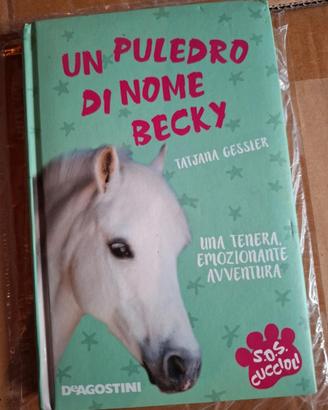 libro per bambini