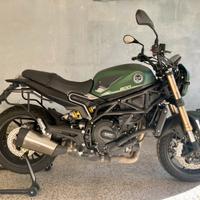 Benelli Leoncino 800 anno 2023