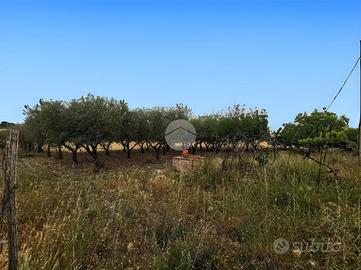 TER. AGRICOLO A LUCERA