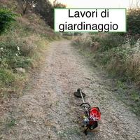 Manutentore del verde