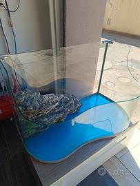 acquario 