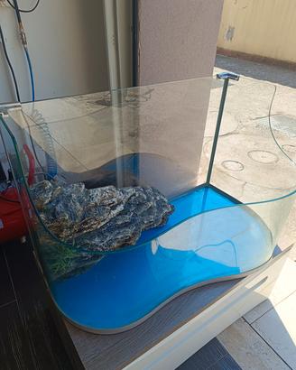 acquario 