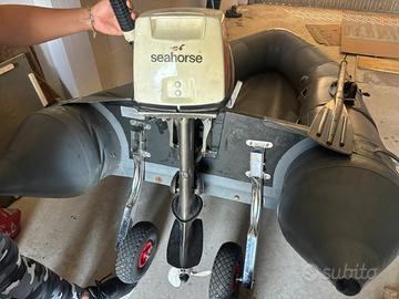 Gommone 3 metri con motore jhonson 6cv