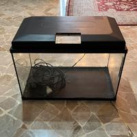 Acquario  aquatlantis