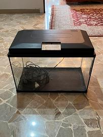 Acquario  aquatlantis