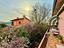 Immagine 20