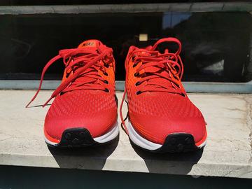 Nike zoom Pegasus 34