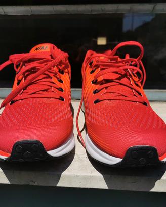 Nike zoom Pegasus 34