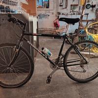 MTB Diamond Back Ascent EX