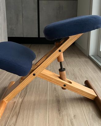 Sedia ergonomica