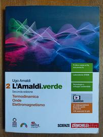 L'Amaldi.verde edizione seconda - Libro di testo
