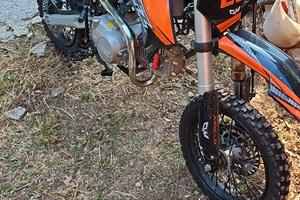 Altro Altro modello - 2023