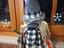 Immagine 5