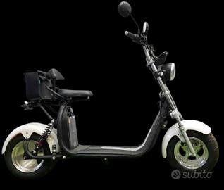 Altro Altro modello - 2024