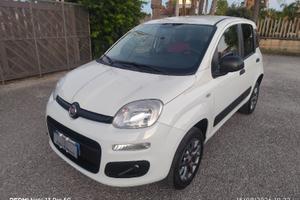 Panda Van 1.3 Multijet   80cv 4x4