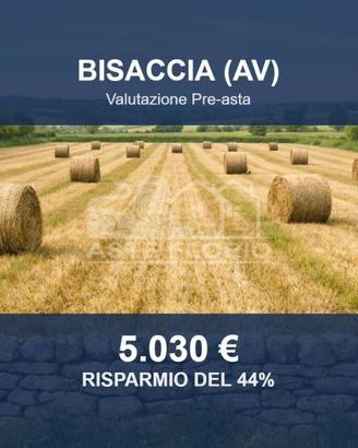 Immobile in asta di 13560 m² a Bisaccia