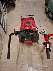 Trinciaerba/Falciatutto