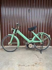 Mosquito 38 cc Paperino