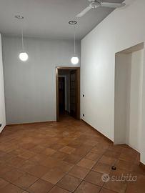 Negozio Novara zona universitaria