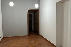 Negozio Novara zona universitaria