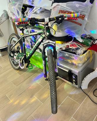 Bicicletta